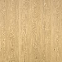������� GERMANY 832 Oak Hamburg/ ��� �������, Tarkett � Sommer