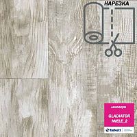 ��������  GLADIATOR - MIELE_2. ������: 2.5/ 3/ 4 �. � ������ 20 ���. �. ��_5.