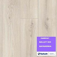 ������� BALLET_833, BAYADERKA. ������: 1292*194*8 ��. 33 �����. ��������- 2,005 �2.