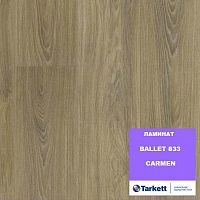 ������� BALLET_833, CARMEN. ������: 1292*194*8 ��. 33 �����. ��������- 2,005 �2.