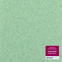 �������� Melodia iQ - ������� iQ -2640. ������ 2 �. � ������ 46 �2.  �� 2.