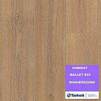������� BALLET_833, SHAHEREZADA. ������: 1292*194*8 ��. 33 �����. ��������- 2,005 �2.