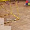 �������� DISCOVERY - ���������,  Tarkett 