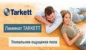 ������� Tarkett - �������